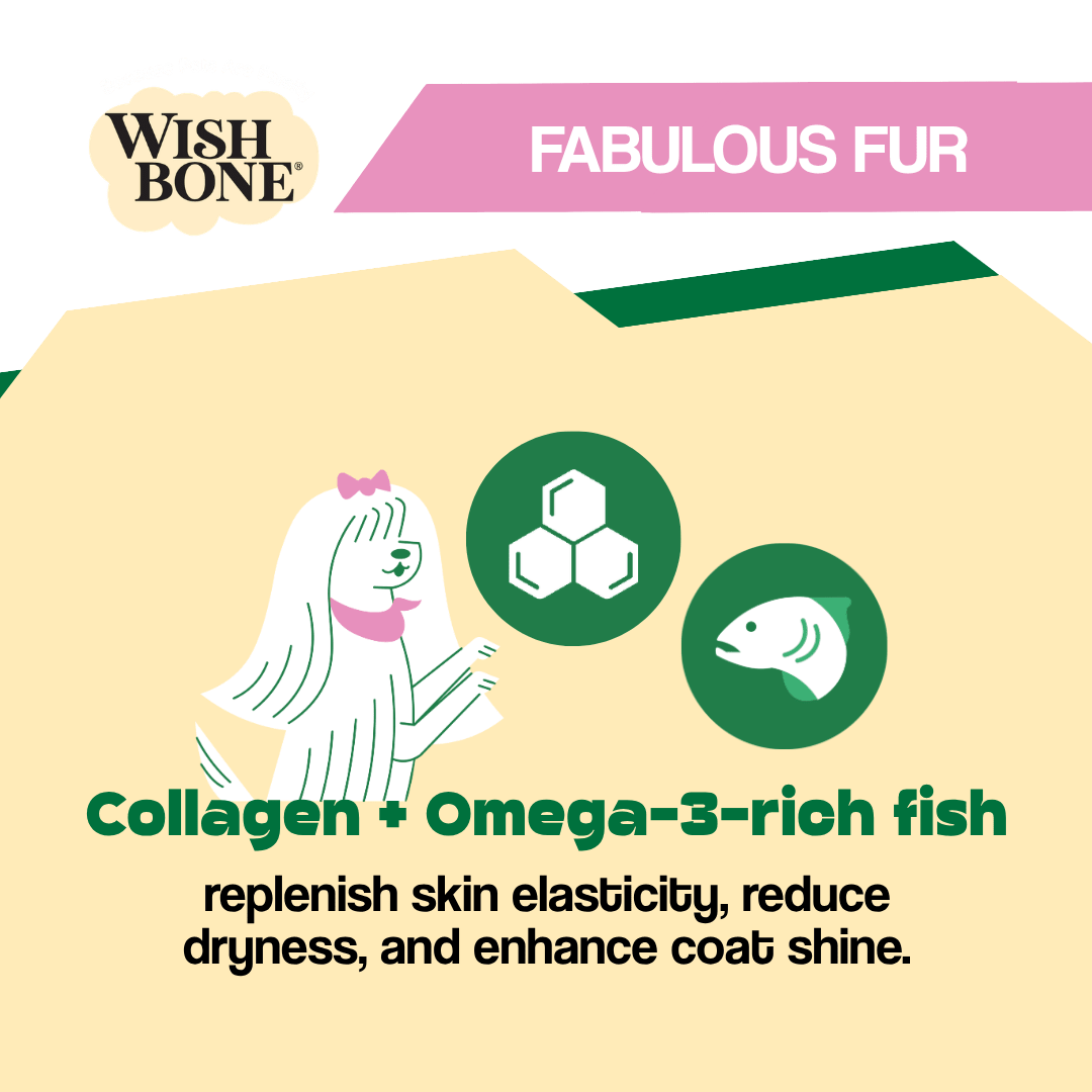 Wishbone Air-Dried Ocean Fish & Lamb Recipe Dog Food - 454g - Addiction Pet Foods USA