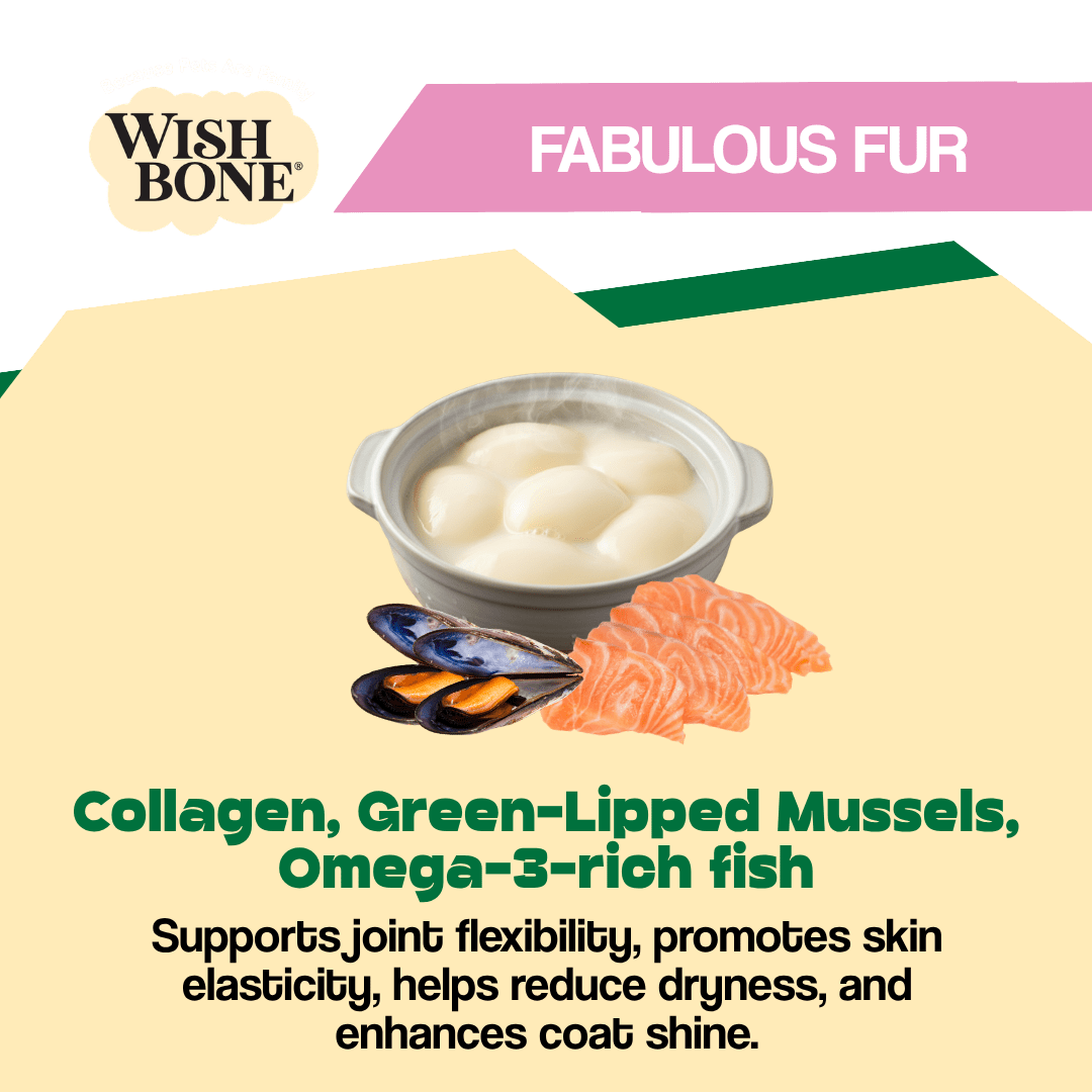 Wishbone Air-Dried Ocean Fish & Lamb Recipe Dog Food - 454g - Addiction Pet Foods USA