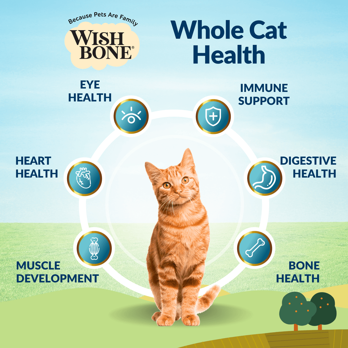Wishbone Dry Cat Food Trial Pack Bundle - Addiction Pet Foods USA