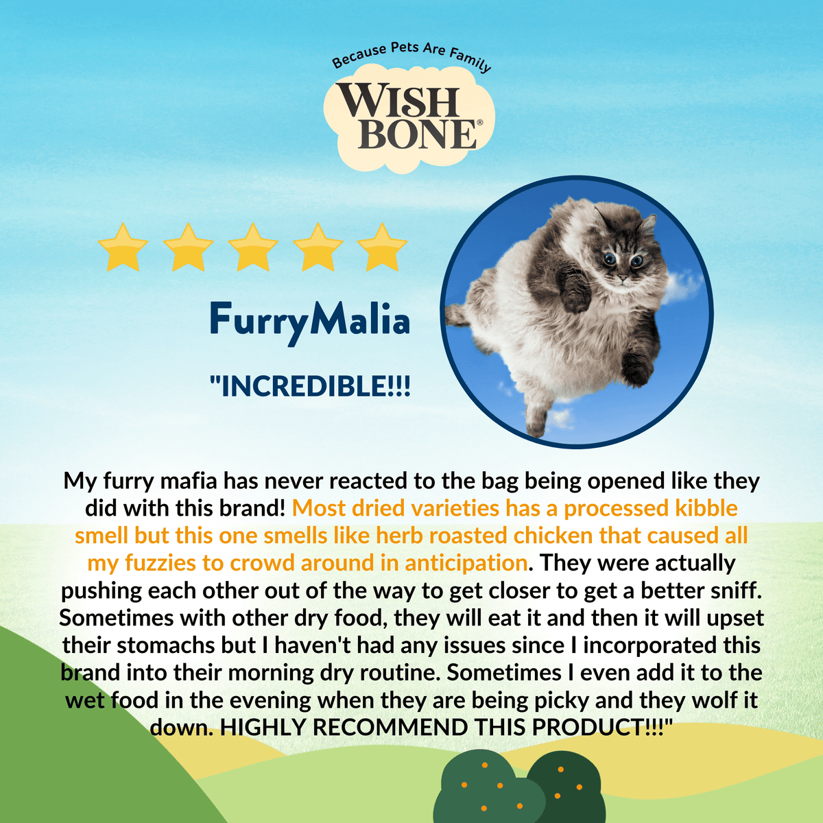 Wishbone Dry Cat Food Trial Pack Bundle - Addiction Pet Foods USA