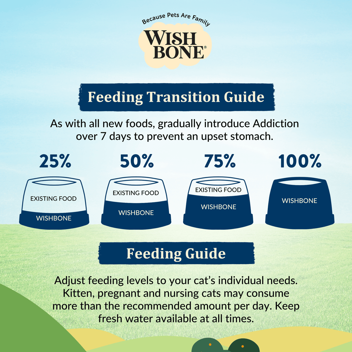 Wishbone Dry Cat Food Trial Pack Bundle - Addiction Pet Foods USA