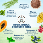 Wishbone Dry Cat Food Trial Pack Bundle - Addiction Pet Foods USA