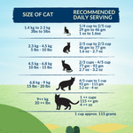 Wishbone Dry Cat Food Trial Pack Bundle - Addiction Pet Foods USA