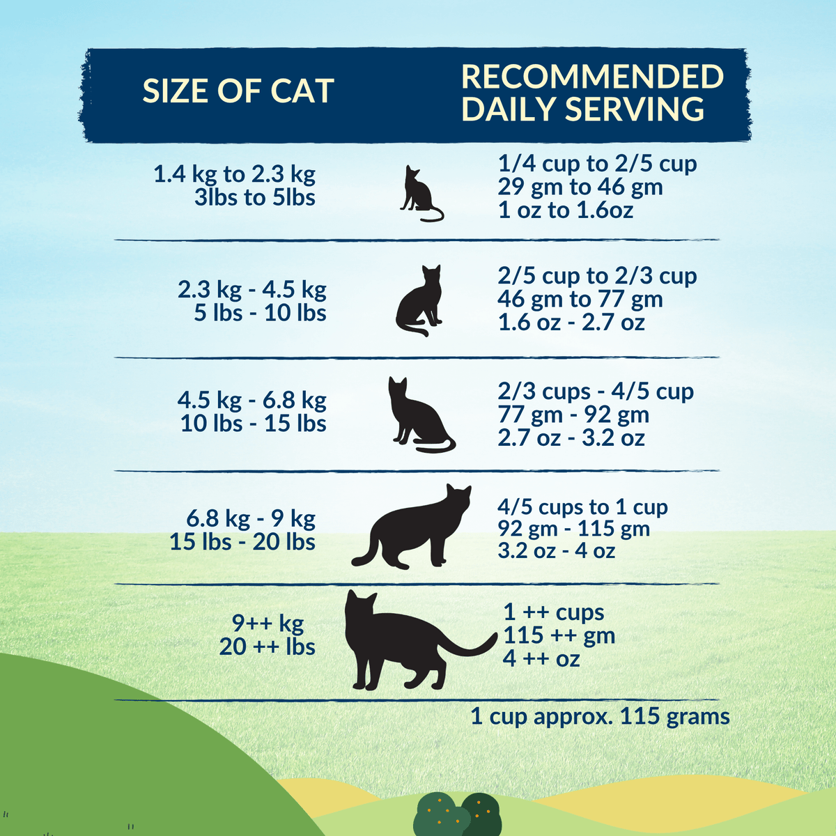 Wishbone Dry Cat Food Trial Pack Bundle - Addiction Pet Foods USA