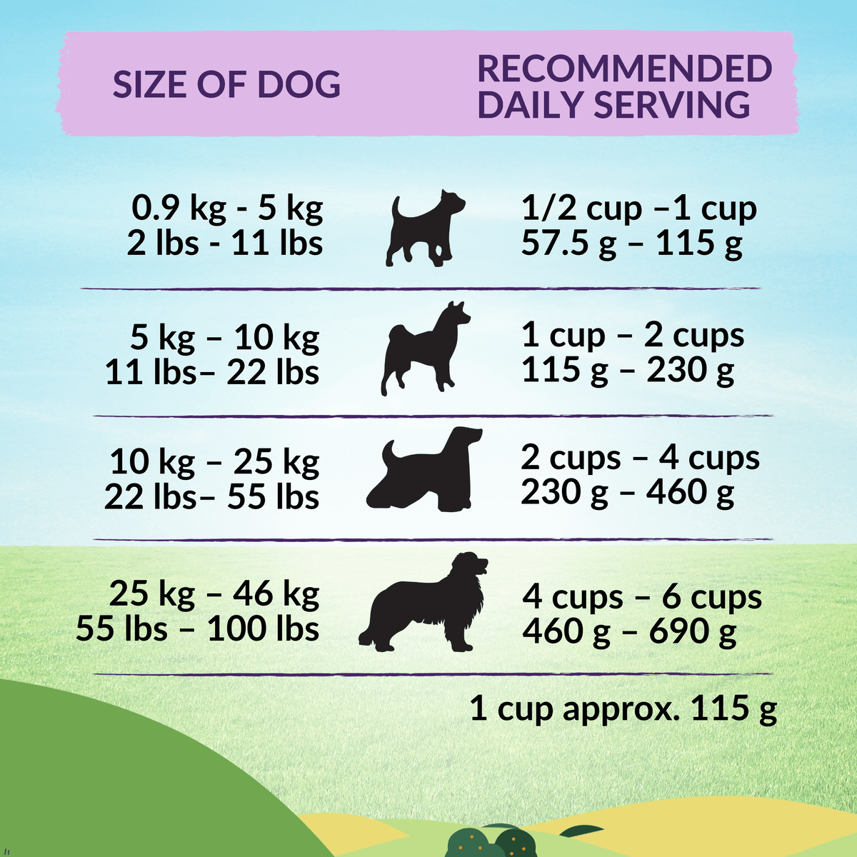 Wishbone Dry Dog Food Trial Pack Bundle - Addiction Pet Foods USA