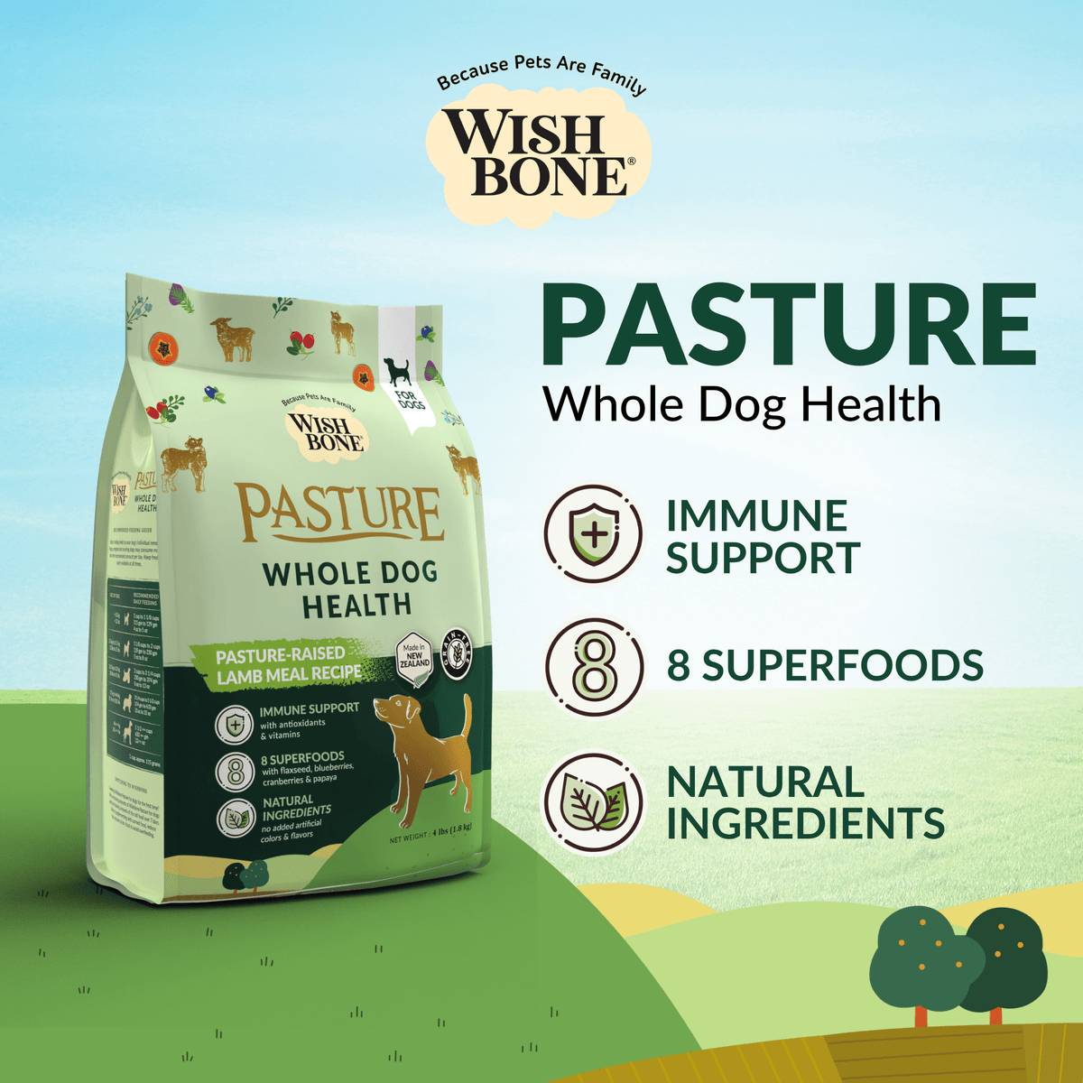 Wishbone Dry Dog Food Trial Pack Bundle - Addiction Pet Foods USA