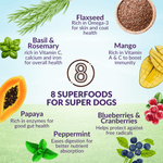 Wishbone Dry Dog Food Trial Pack Bundle - Addiction Pet Foods USA