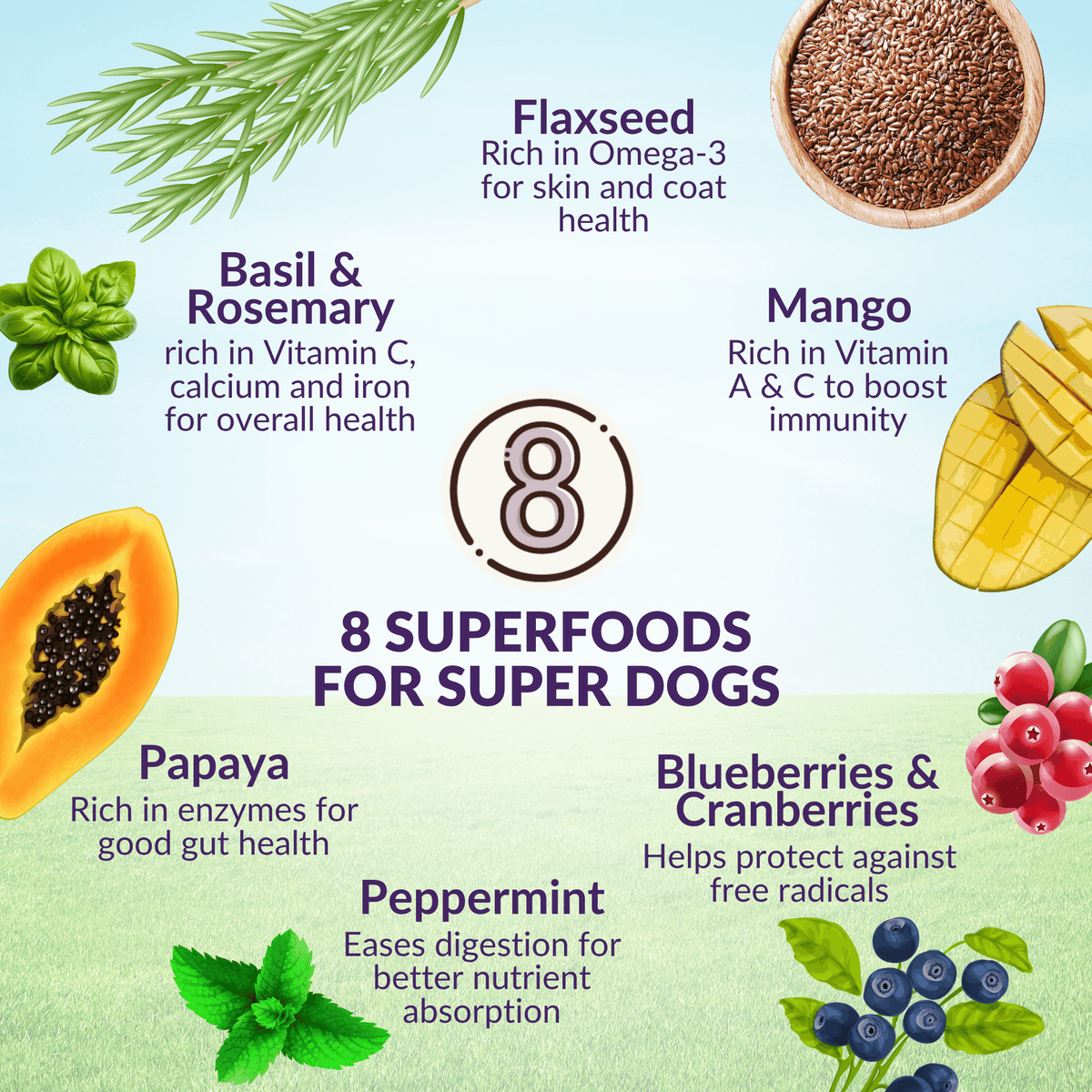 Wishbone Dry Dog Food Trial Pack Bundle - Addiction Pet Foods USA