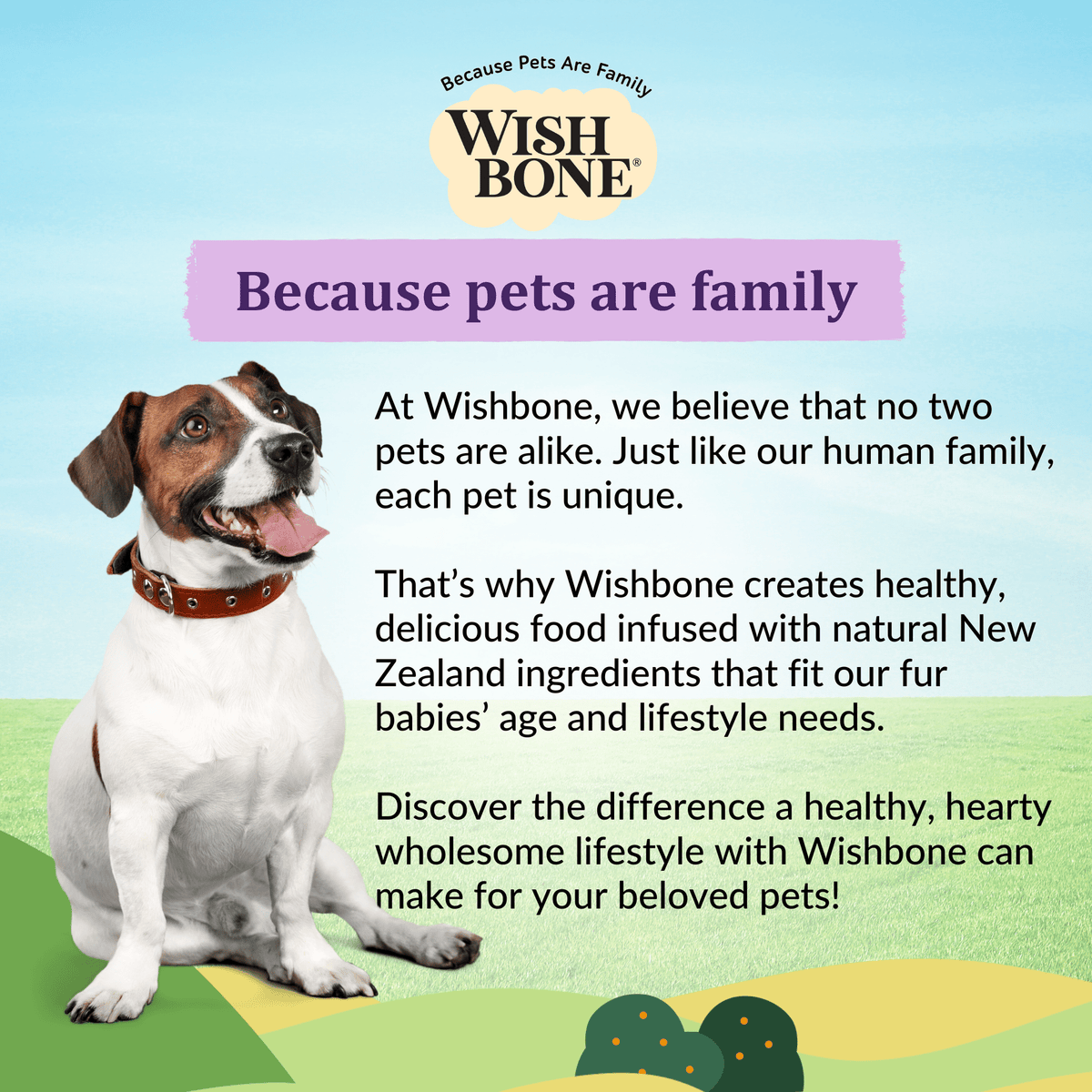 Wishbone Dry Dog Food Trial Pack Bundle - Addiction Pet Foods USA