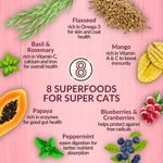 Wishbone Graze Beef and Lamb Dry Cat Food - Addiction Pet Foods USA