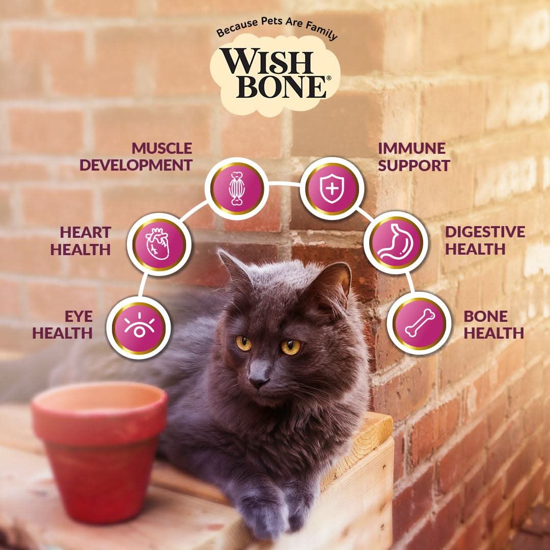Wishbone Graze Beef and Lamb Dry Cat Food - Addiction Pet Foods USA