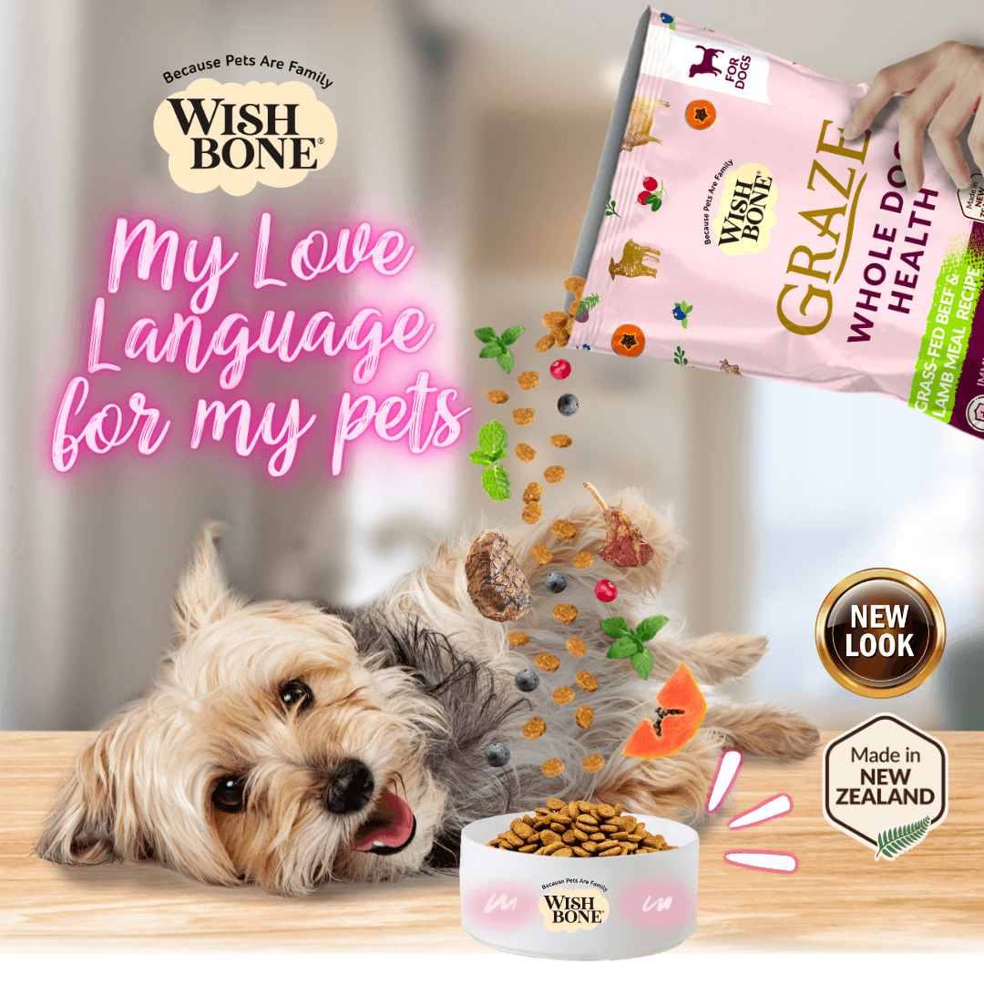 Wishbone Graze Beef and Lamb Dry Dog Food - 4lb - Addiction Pet Foods USA