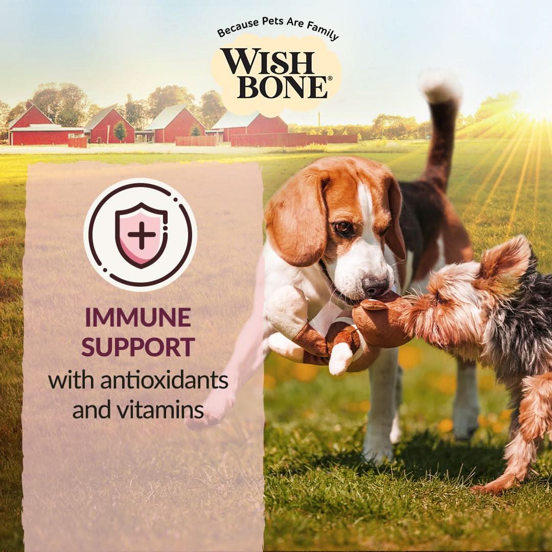 Wishbone Graze Beef and Lamb Dry Dog Food - 4lb - Addiction Pet Foods USA
