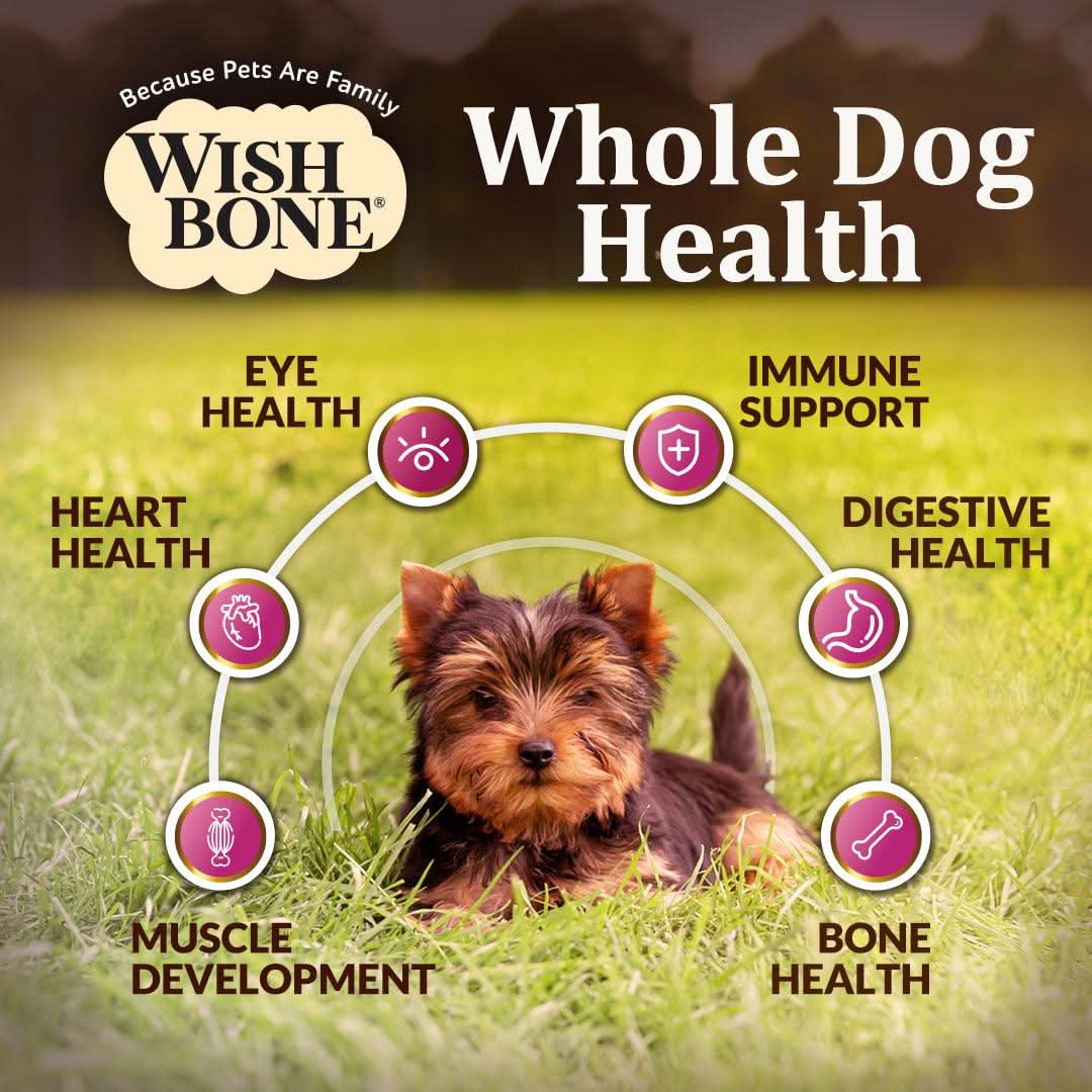Wishbone Graze Beef and Lamb Dry Dog Food - 4lb - Addiction Pet Foods USA