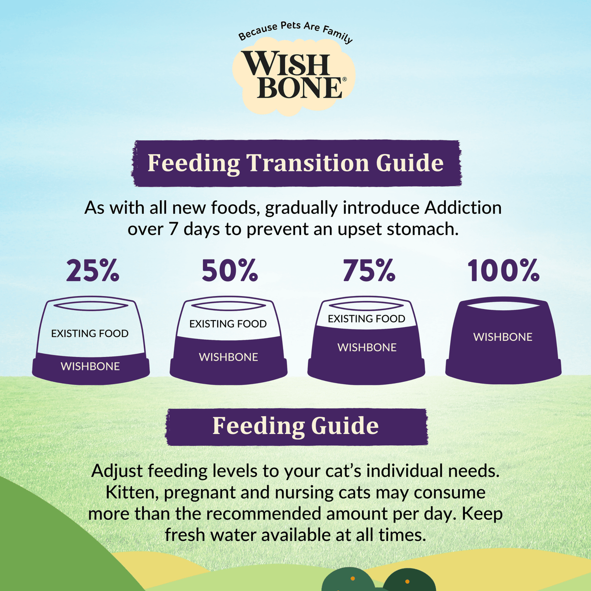 Wishbone Ocean for Cats New Zealand King Salmon - Pack of 12 - Addiction Pet Foods USA
