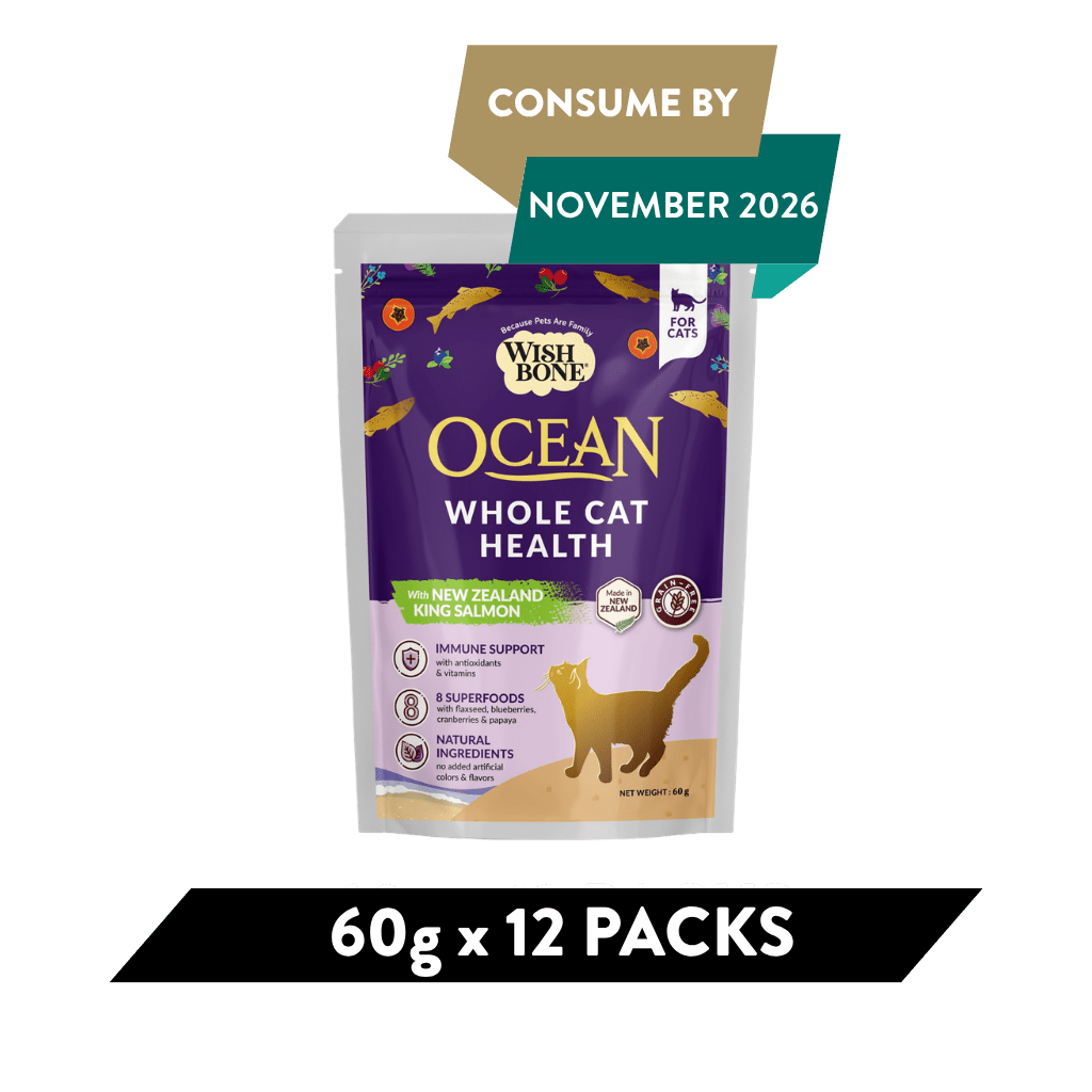 Wishbone Ocean for Cats New Zealand King Salmon - Pack of 12 - Addiction Pet Foods USA