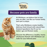 Wishbone Ocean for Cats New Zealand King Salmon - Pack of 12 - Addiction Pet Foods USA
