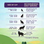 Wishbone Ocean for Cats New Zealand King Salmon - Pack of 12 - Addiction Pet Foods USA