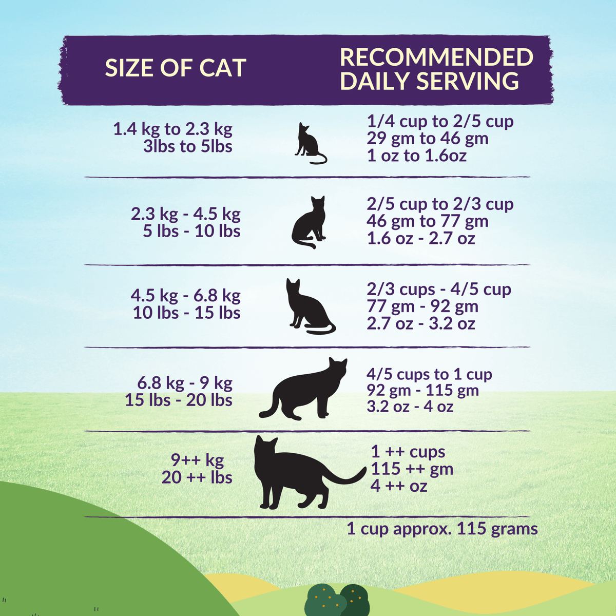 Wishbone Ocean for Cats New Zealand King Salmon - Pack of 12 - Addiction Pet Foods USA