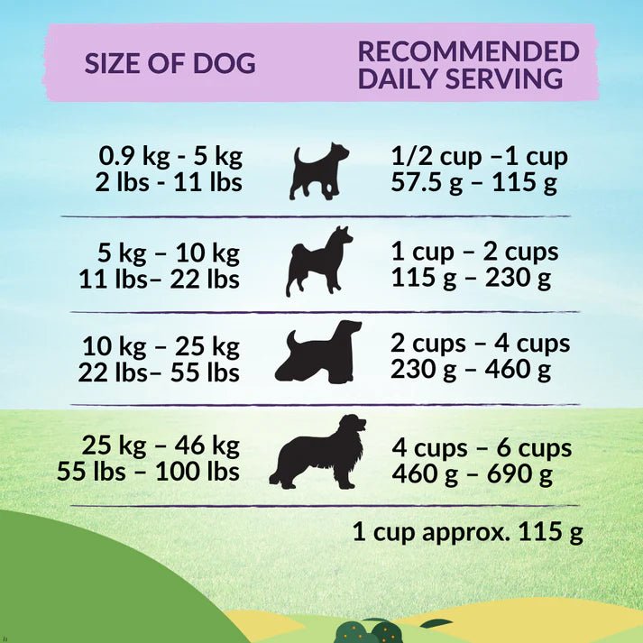 Wishbone Ocean for Dogs - New Zealand King Salmon 4lb - Addiction Pet Foods USA