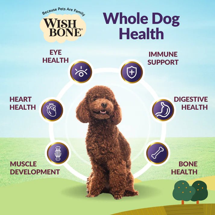 Wishbone Ocean for Dogs - New Zealand King Salmon 4lb - Addiction Pet Foods USA