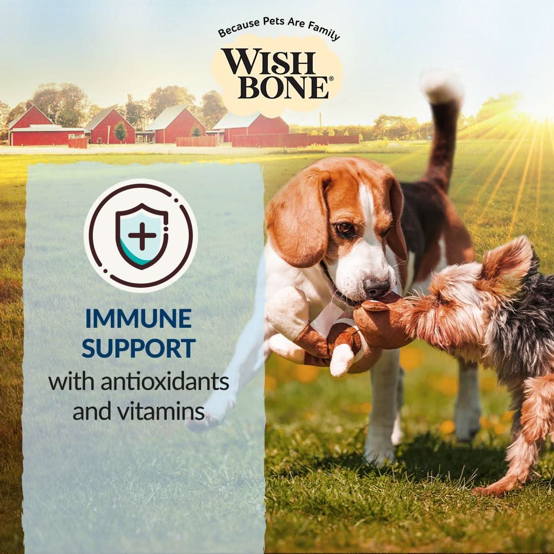 Wishbone Roost Chicken Dry Dog Food - 4lb - Addiction Pet Foods USA