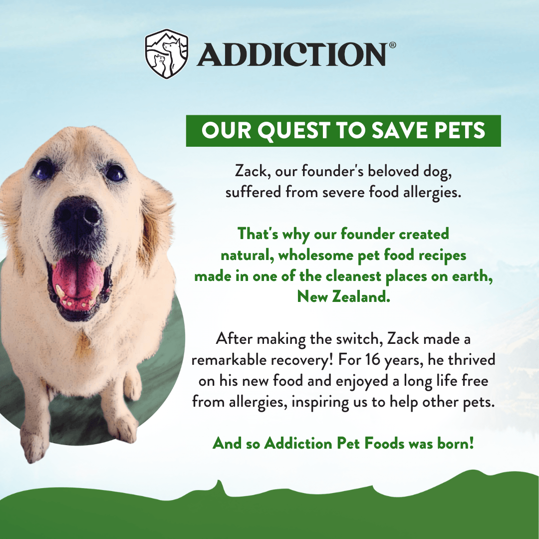 Zen Vegetarian Dry Dog Food - Addiction Pet Foods USA