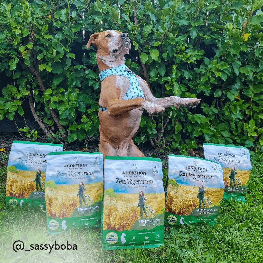 Zen Vegetarian Dry Dog Food - Addiction Pet Foods USA