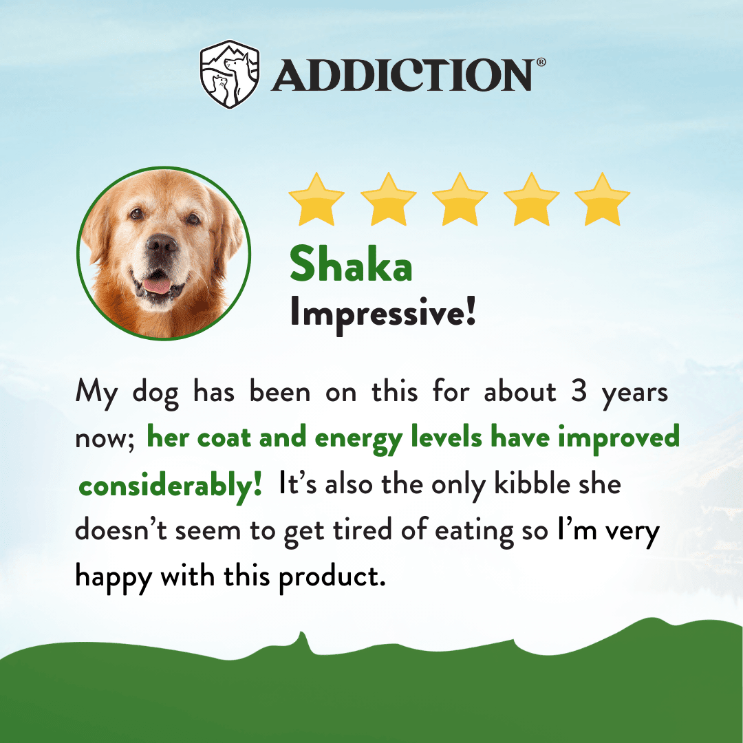 Zen Vegetarian Dry Dog Food - Addiction Pet Foods USA