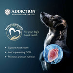 Discover Addiction's Wild Kangaroo & Apples dry dog food. Made with real kangaroo meat, it's high in protein, low in fat, and packed with antioxidants. Grain-free and enriched with coconut oil, it supports your dog's health and vitality. Try it today!