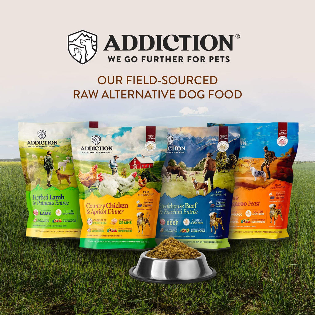 Addiction Steakhouse Beef Zucchini Raw Alternative Dog Food