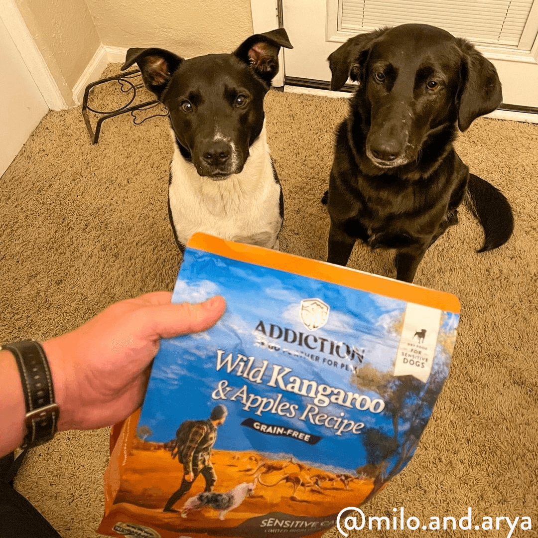 Discover Addiction's Wild Kangaroo & Apples dry dog food. Made with real kangaroo meat, it's high in protein, low in fat, and packed with antioxidants. Grain-free and enriched with coconut oil, it supports your dog's health and vitality. Try it today!