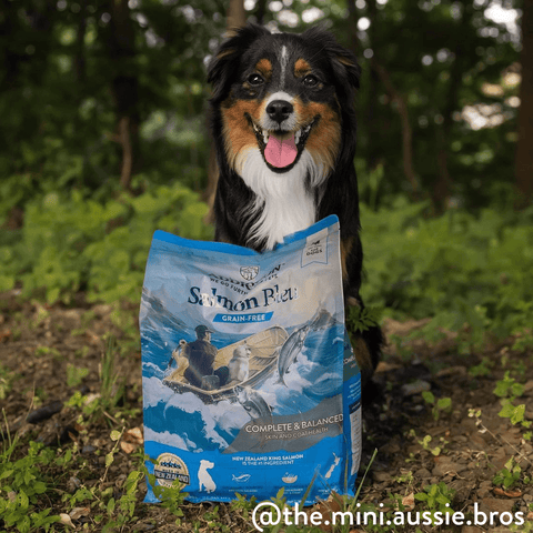 Salmon Bleu Dry Dog Food