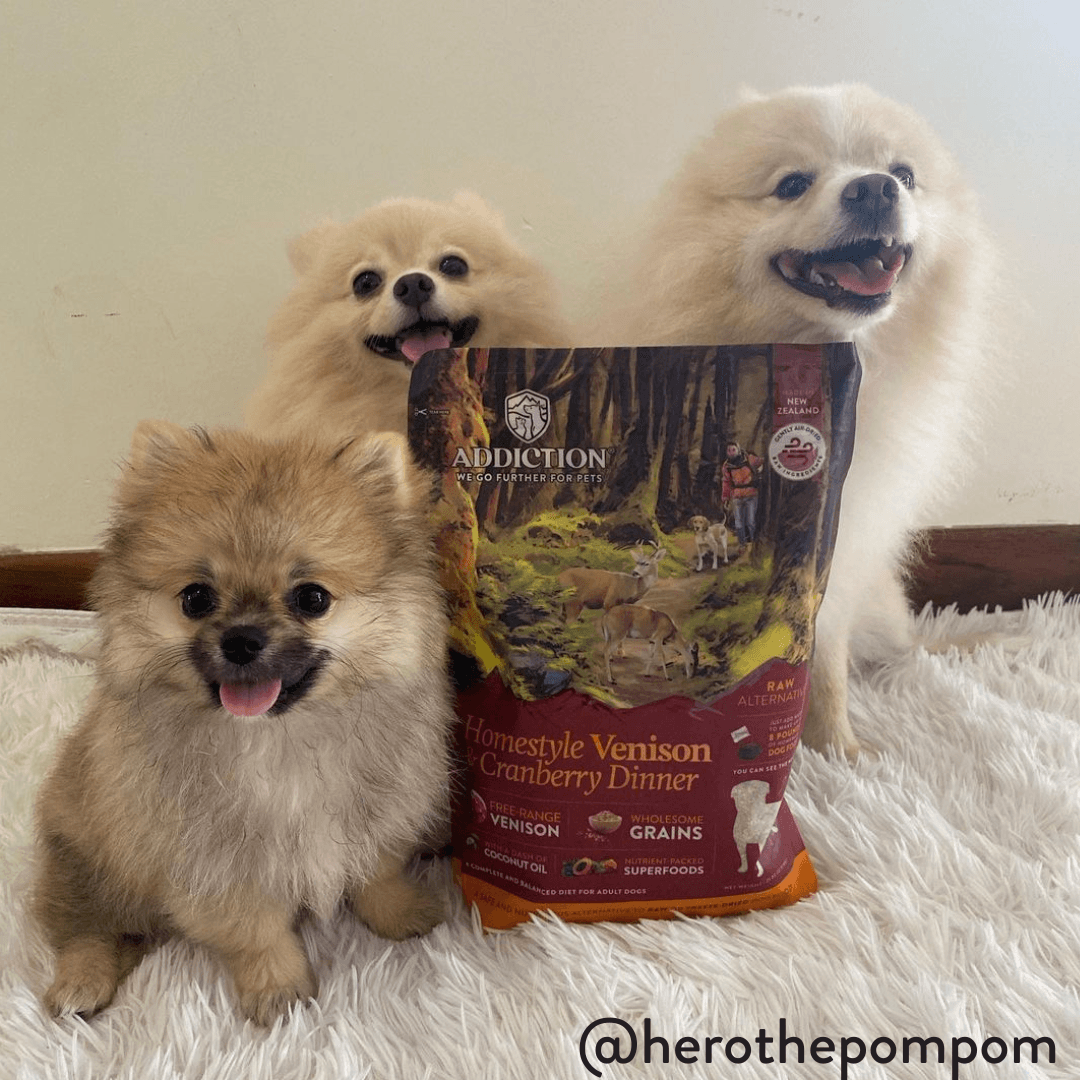 Addiction Homestyle Venison & Cranberry Dinner Raw Alternative Dog
