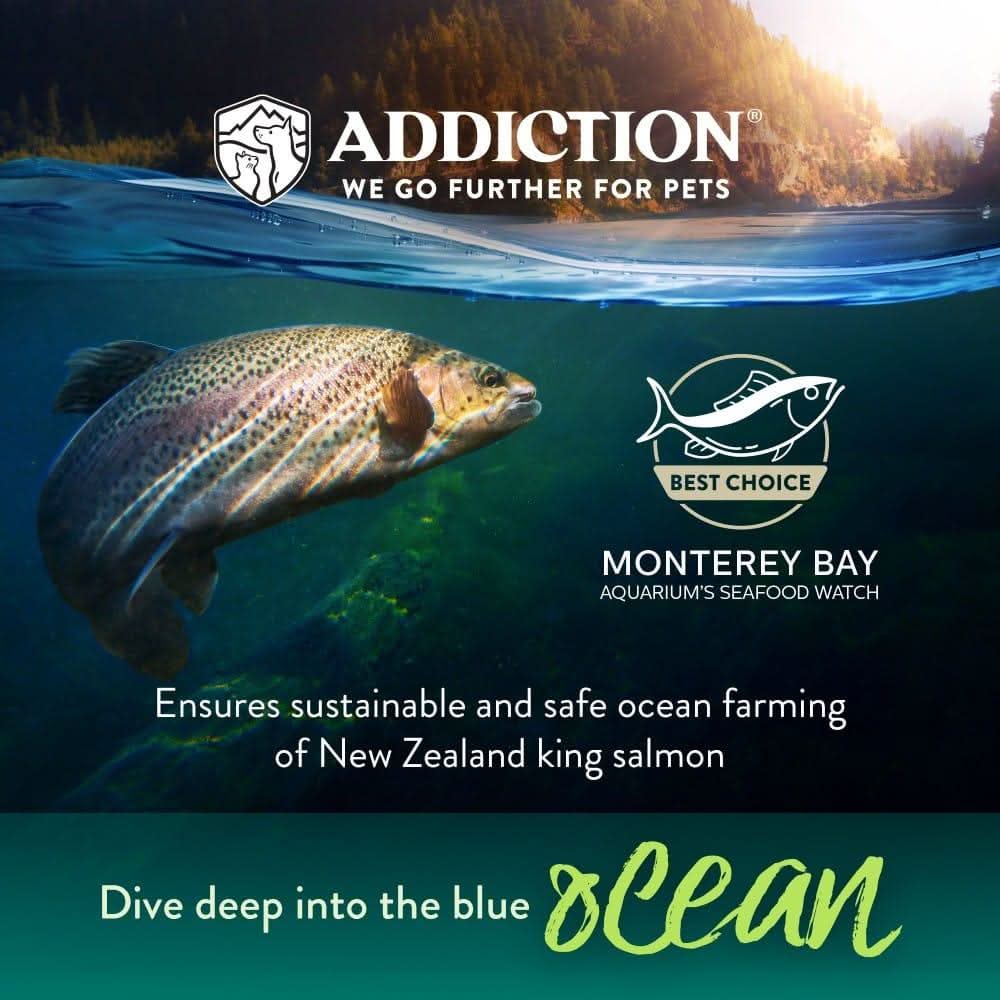 Salmon Bleu Dry Cat Food - Addiction Pet Foods USA