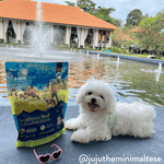 Steakhouse Beef & Zucchini Air-Dried Dog Food - Addiction Pet Foods USA
