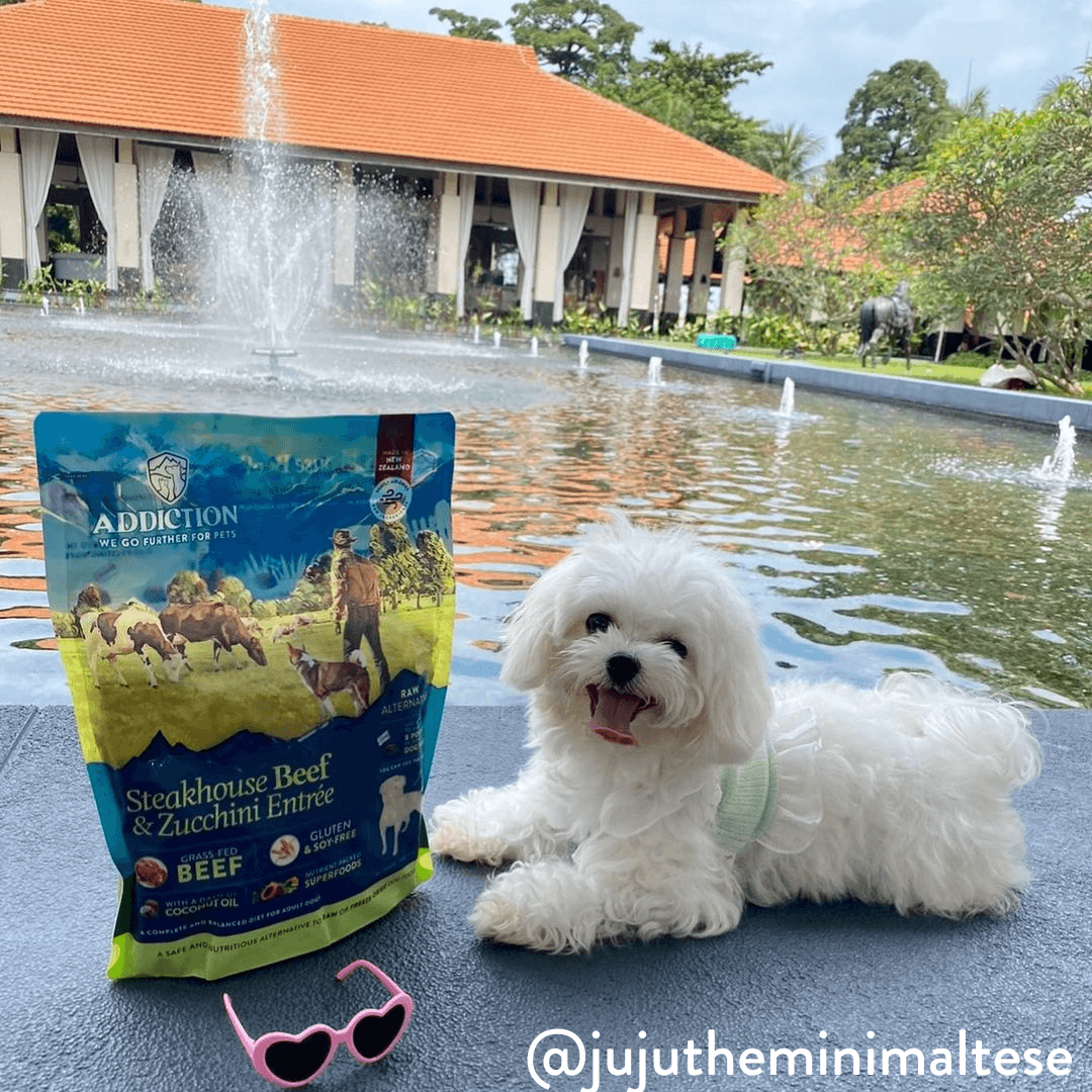 Steakhouse Beef & Zucchini Air-Dried Dog Food - Addiction Pet Foods USA