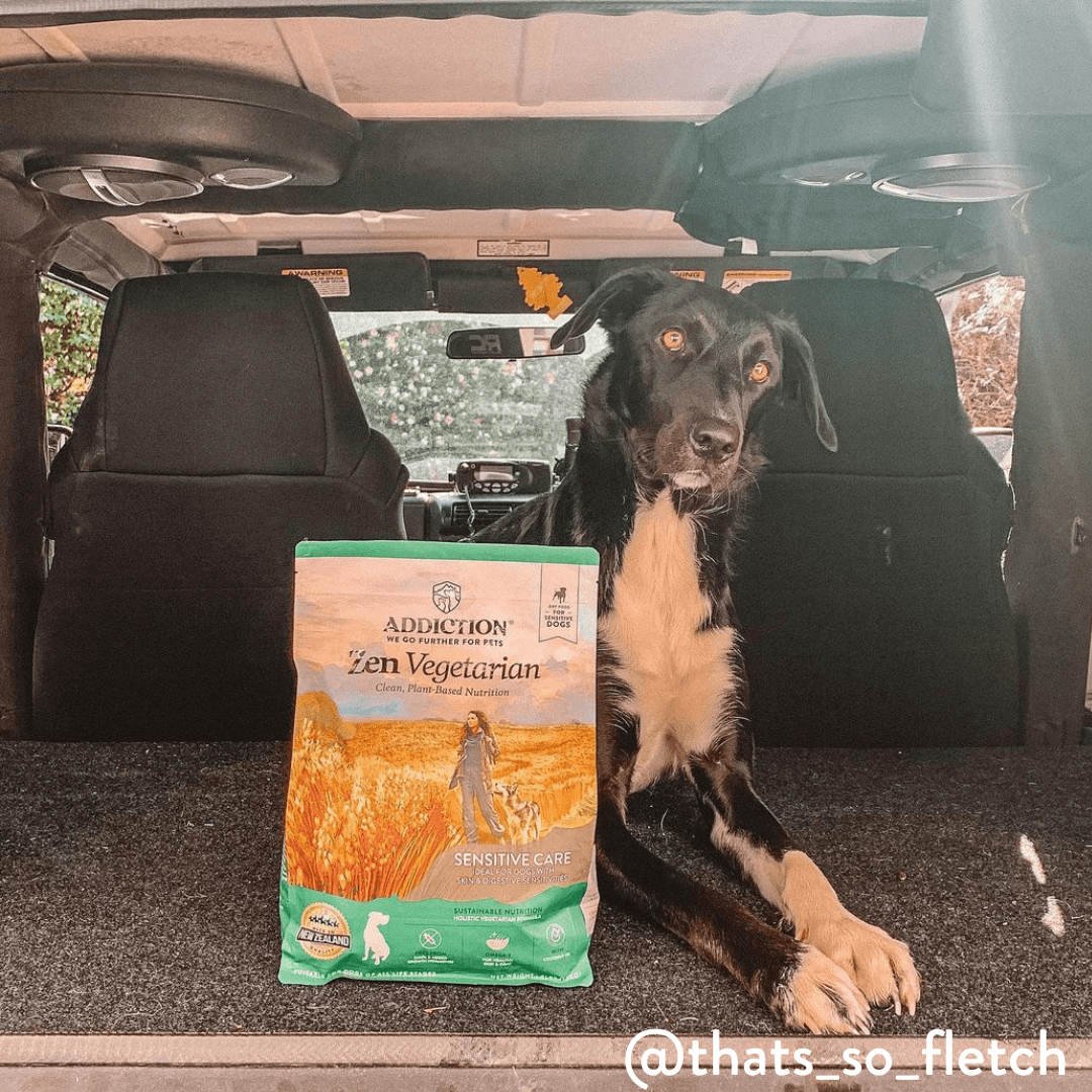 Zen Vegetarian Dry Dog Food - Addiction Pet Foods USA